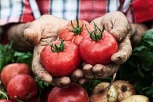 An image of a man holding three plump tomatoes.