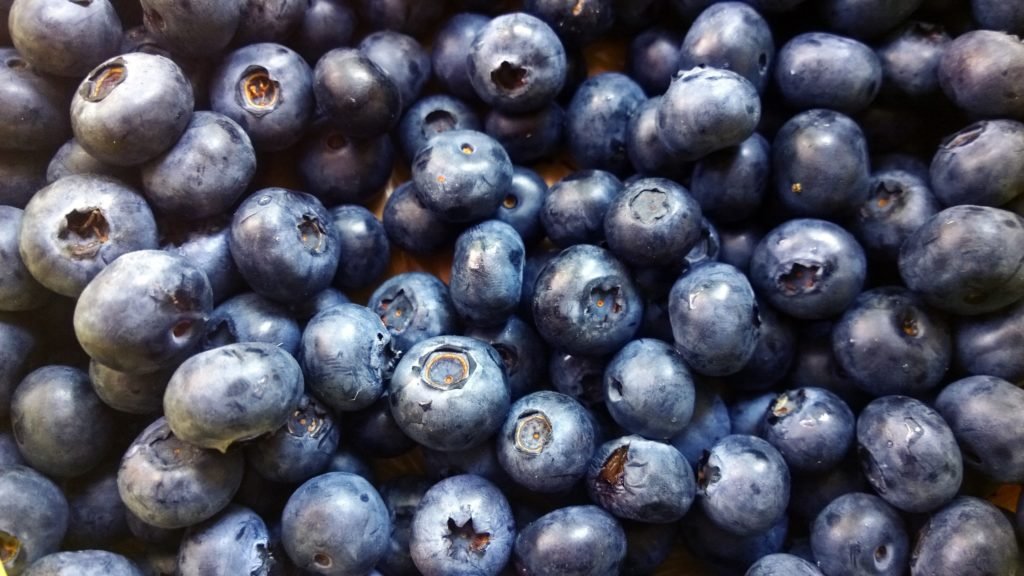 A close up image of blueberries.
