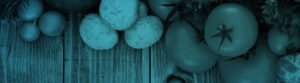 image of vegetables on a chopping board in a blue wash for a nutrition banner