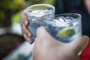 An image of two people toasting their gin and tonics.