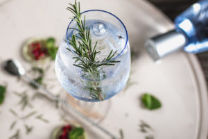A close up image of a glass of premium gin and tonic.
