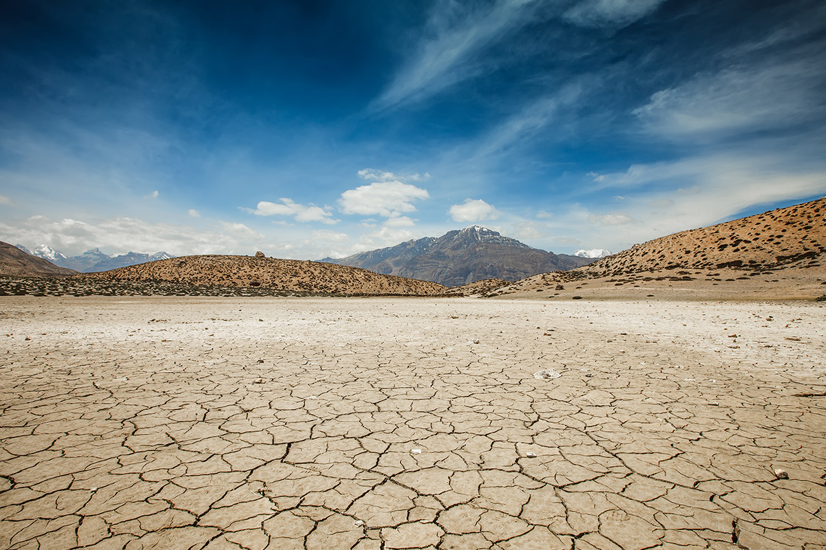 An image of a barren desert with dry and cracked earth.