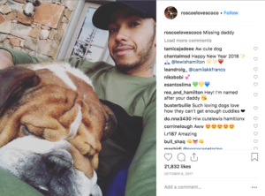 Instagram post of Lewis Hamilton and his dog Rosco