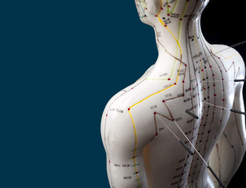 My First Experience With Kinesiology