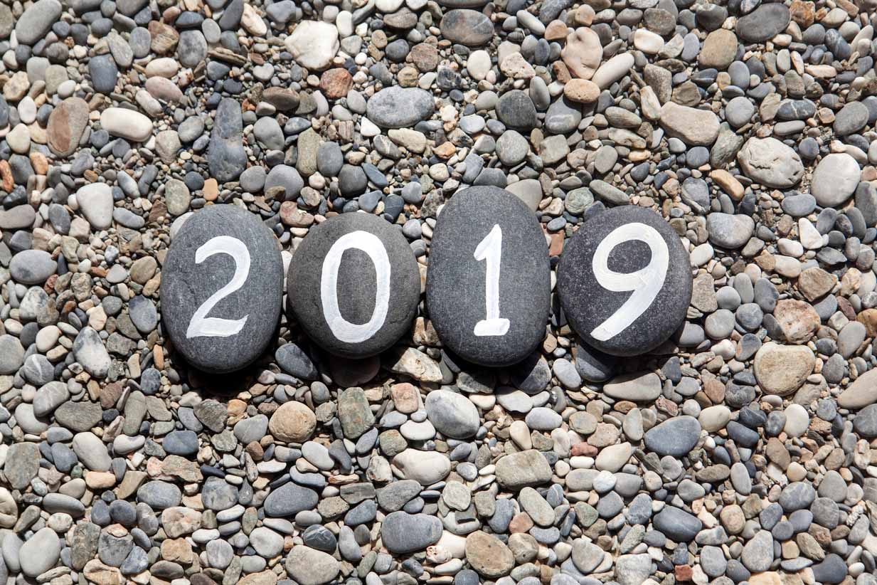 pebbles with the words 2019 painted on them