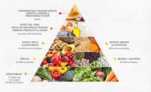 triangle of a healthy nutritional diet