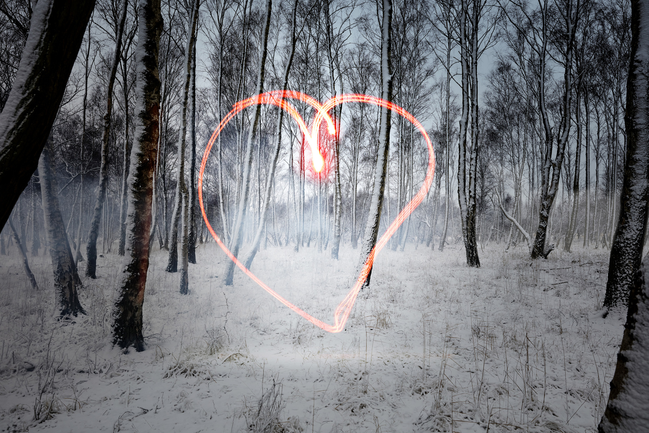 winter forest with show on the ground and a glowing heart in the centre