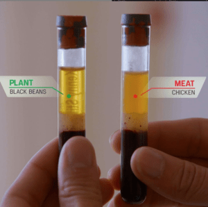 test tubes showing the difference eating vegan can make to your body