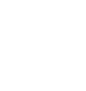 midlife wellness tribe logo