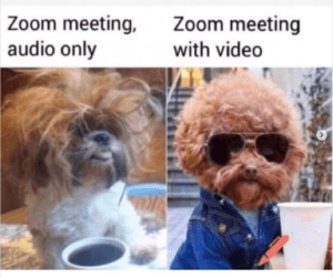 funny meme about Zoom meetings during the pandemic