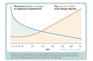 Graph about the brains ability to change